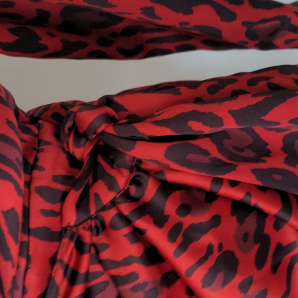 Zara Dress - Picture 6 of 11